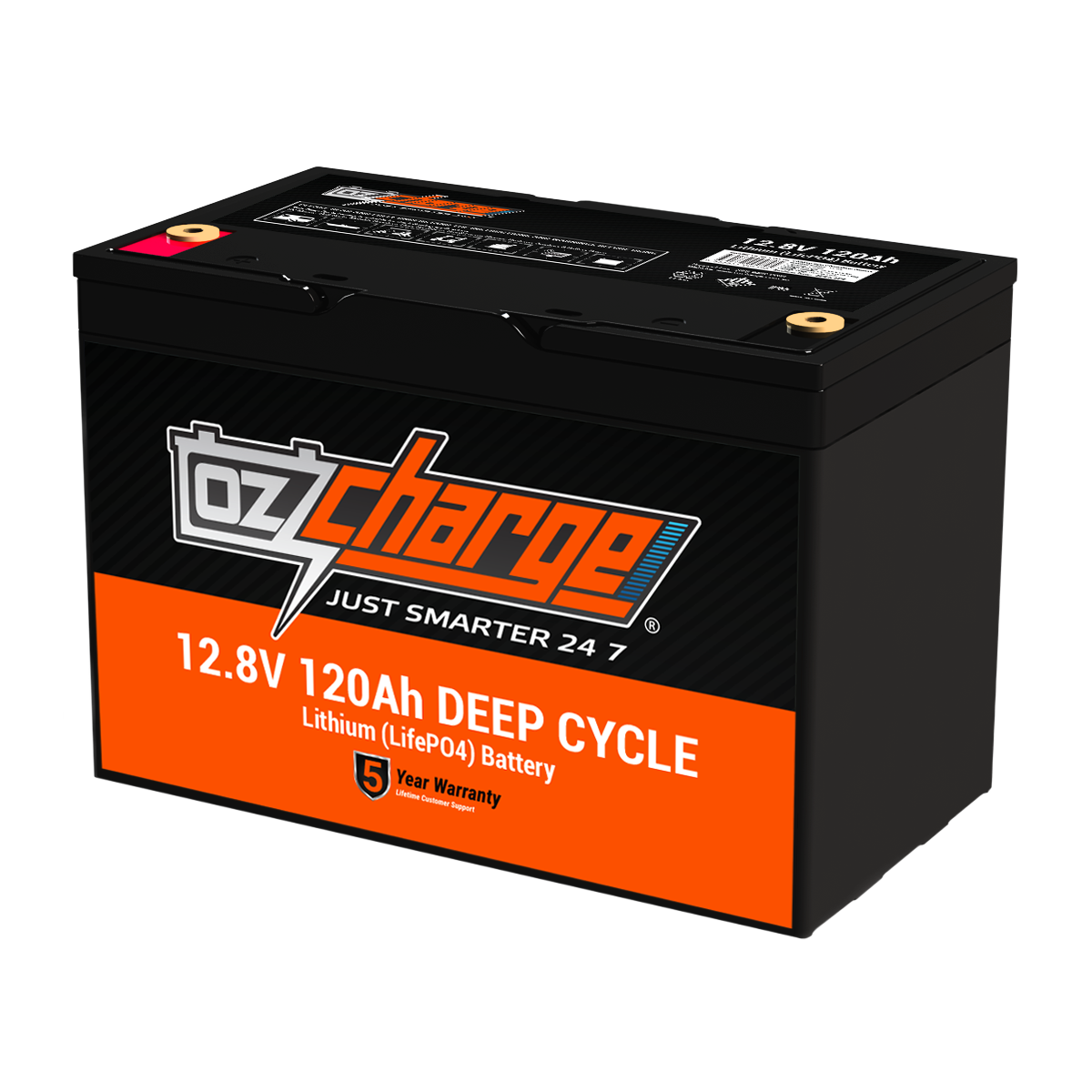 12V 120Ah Lithium LifePO4 Deep Cycle Battery